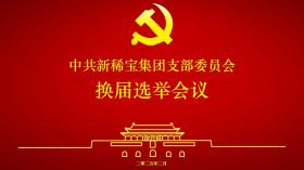 新稀寶黨支部換屆會(huì)議順利召開