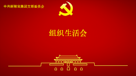 新稀寶黨支部召開2024年度組織生活會(huì)及民主評(píng)議黨員會(huì)議