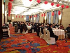2015 積蓄力量，2016 大勝歸來